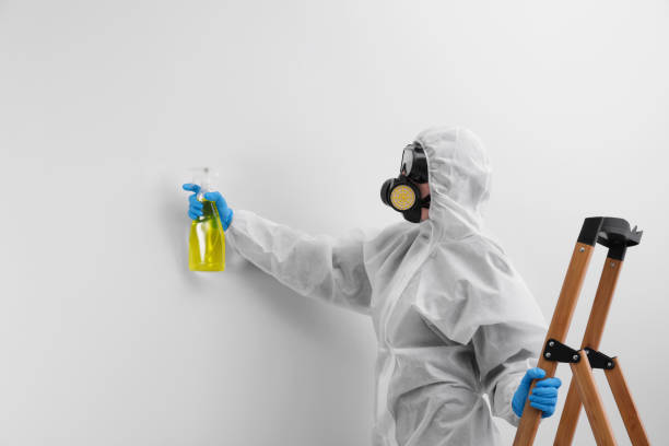 Best Comprehensive Air Testing for Mold Contaminants  in La Vale, MD